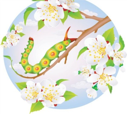 caterpillar and flower interesting vector graphics