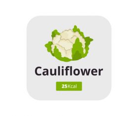 cauliflower vector icon