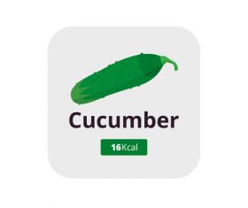 cucumber vector icon
