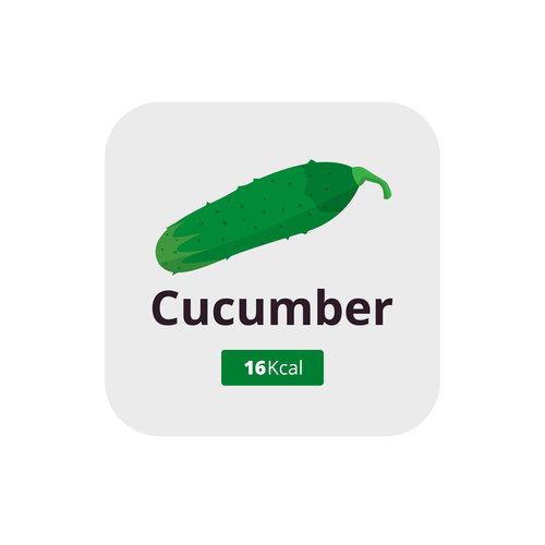 cucumber vector icon