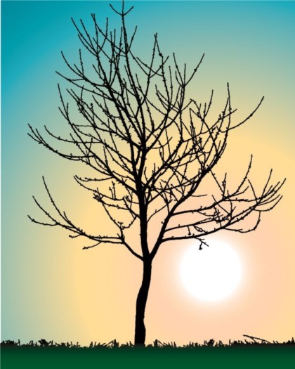 dead tree silhouette vectors