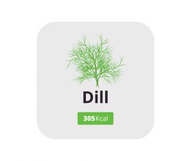 dill vector icon