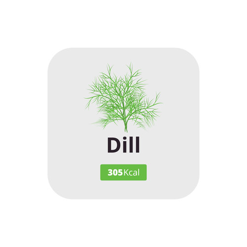 dill vector icon