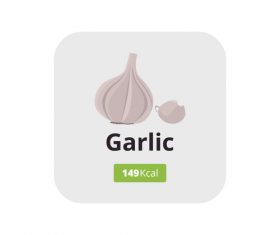 garlic vector icon