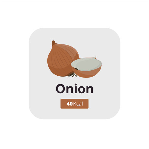 onion vector icon