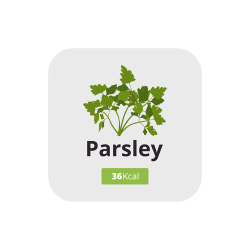 parsley vector icon