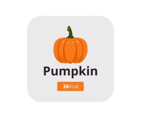 pumpkin vector icon