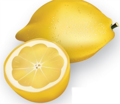 realistic lemon shiny vector