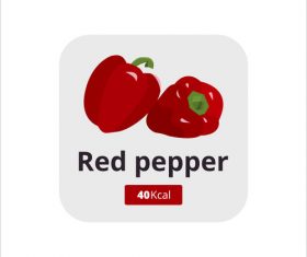 red pepper vector icon