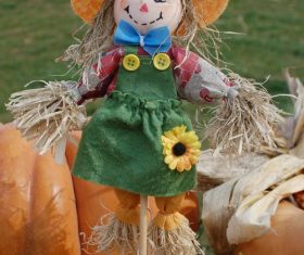 scarecrow Stock Photo 01