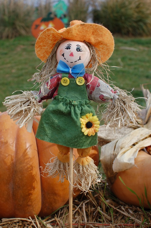 scarecrow Stock Photo 01