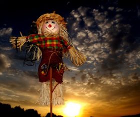 scarecrow Stock Photo 04