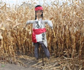 scarecrow Stock Photo 06