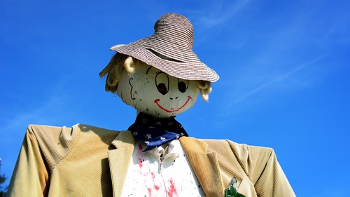 scarecrow Stock Photo 08
