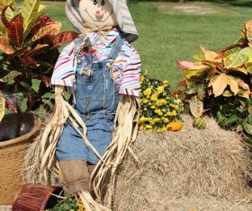 scarecrow Stock Photo 09