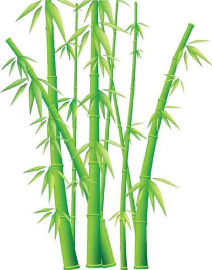 shiny Bamboo design vector