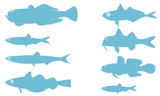 Adriatic SeFish Silhouettes Free vector material
