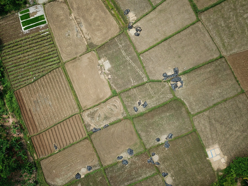 Aerial photography farmland Stock Photo 07