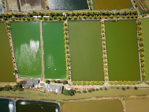 Aerial photography farmland Stock Photo 08