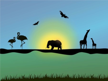 African Animals Illustration vector