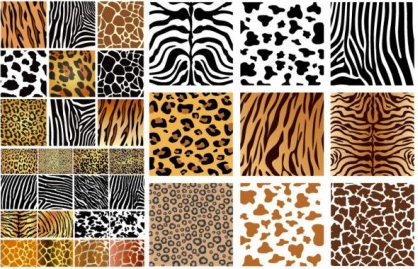 Animal skin texture background vector