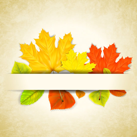 Autumn Leaf theme background 3 vector