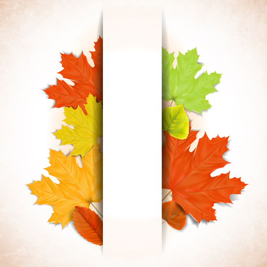 Autumn Leaf theme background 4 vector