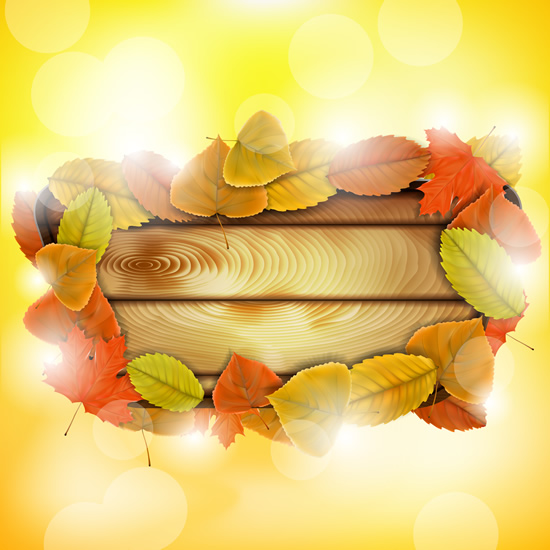 Autumn Leaf theme background 5 vector graphic