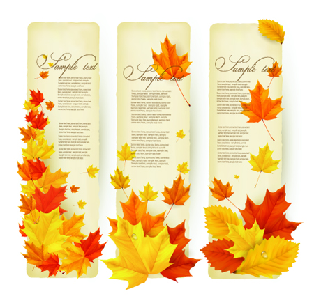 Autumn Leaves banner vector graphics