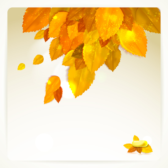 Autumn leaf and Sunlight background vector