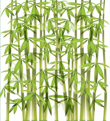 Bamboo background 01 vector material
