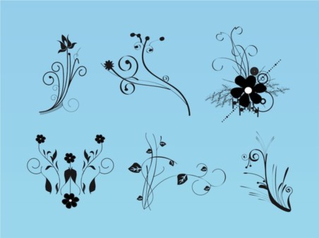 Beautiful Flowers Images vector