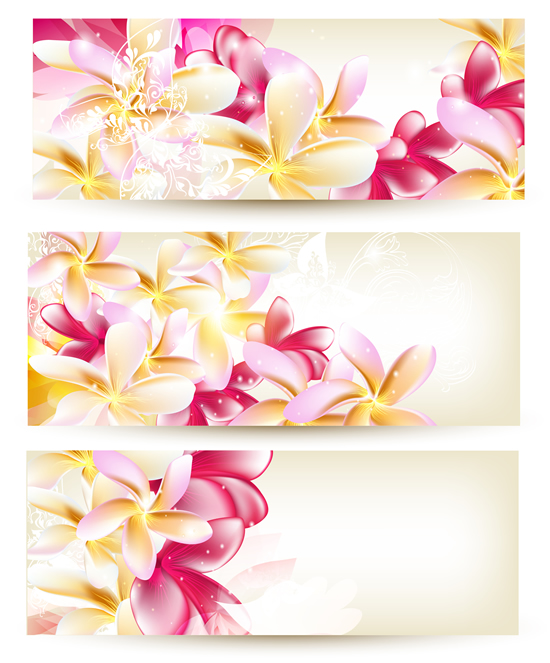Download Beautiful flower banner 2 vector free download