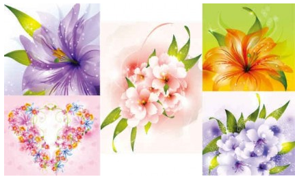 Beautiful flowers Collections art vector graphics