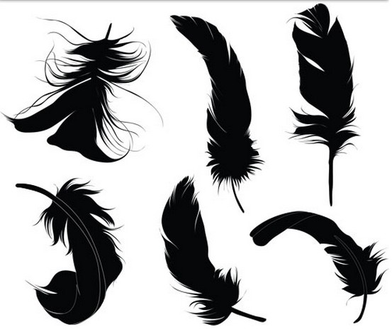 Black Feathers Vector design vectors