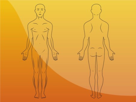 Body Illustrations vector material