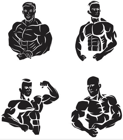 Bodybuilders in GYM Illustration vector