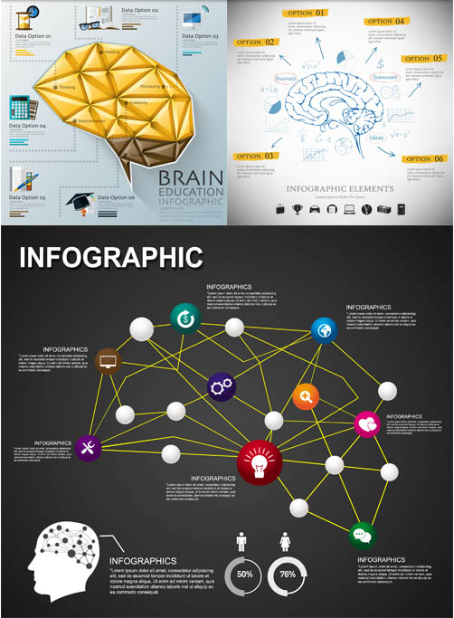 Brain Infographics Backgrounds 2 vector graphic