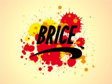 Brice Logo And Splatter vector