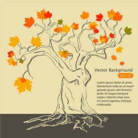 Bright autumn maple vector