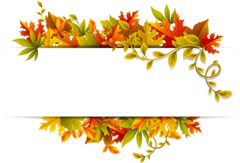 Bright leaves decoration creative vector