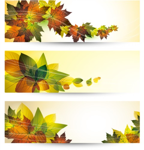 Bright leaves set vector
