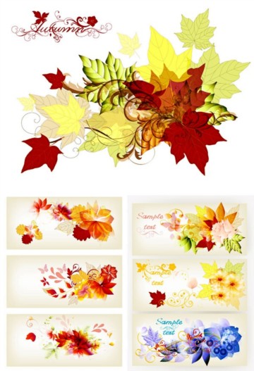 Bright maple leaf vector graphics