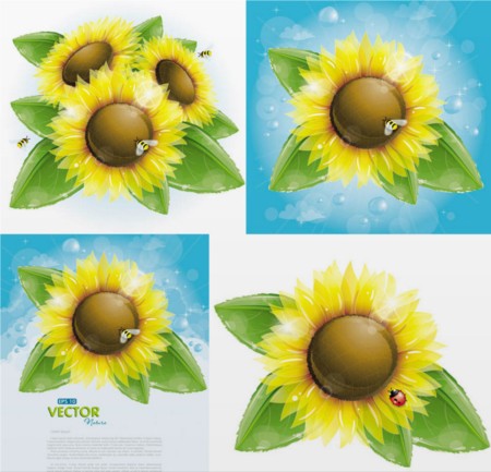 Bright sunflower and bees vector