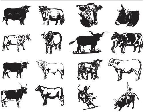 Bulls and cows free vector