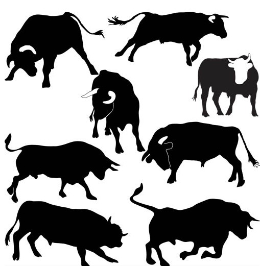 Bulls graphic vector