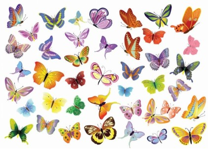 Butterflies Decoration vector