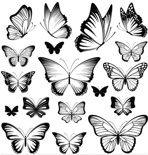 Butterflies graphic vector