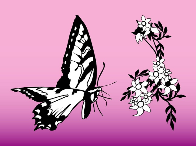 Butterfly And Flower Graphics art Illustration vector