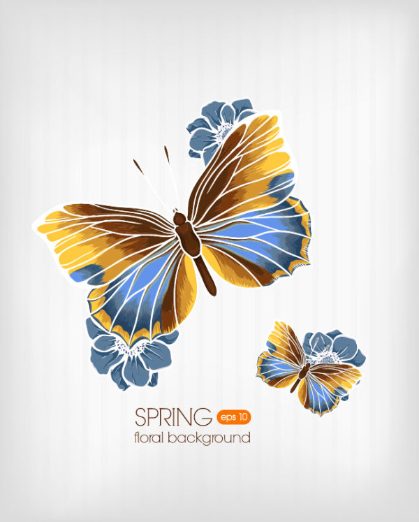 Butterfly Beautiful background 2 set vector